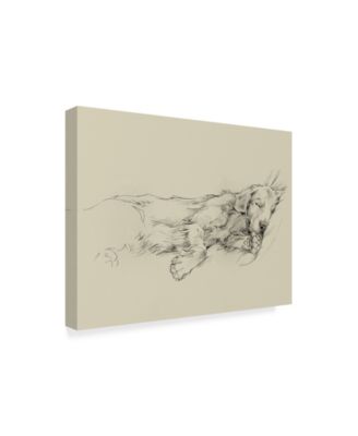 Ethan Harper Dog Days III Canvas Art - 37" x 49"