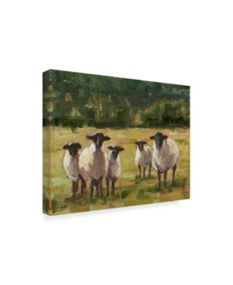 Ethan Harper Sheep Family I Canvas Art - 20" x 25"