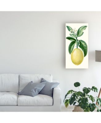 Turpin Turpin Fruit I Canvas Art - 15" x 20"