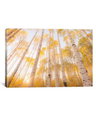 Colorado by Dan Ballard Wrapped Canvas Print - 18" x 26"