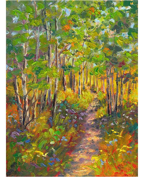 West Of The Wind Heavenly Hike Outdoor Canvas Wall Art 30 X 40