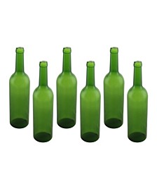 Plastic Wine Bottles 6 Piece Set