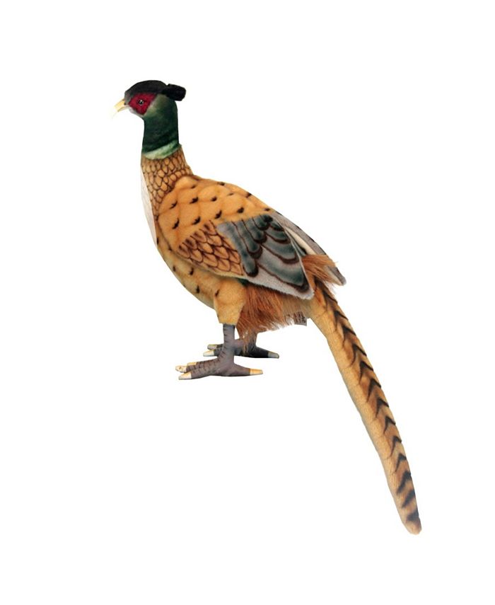 Pheasant shop soft toy