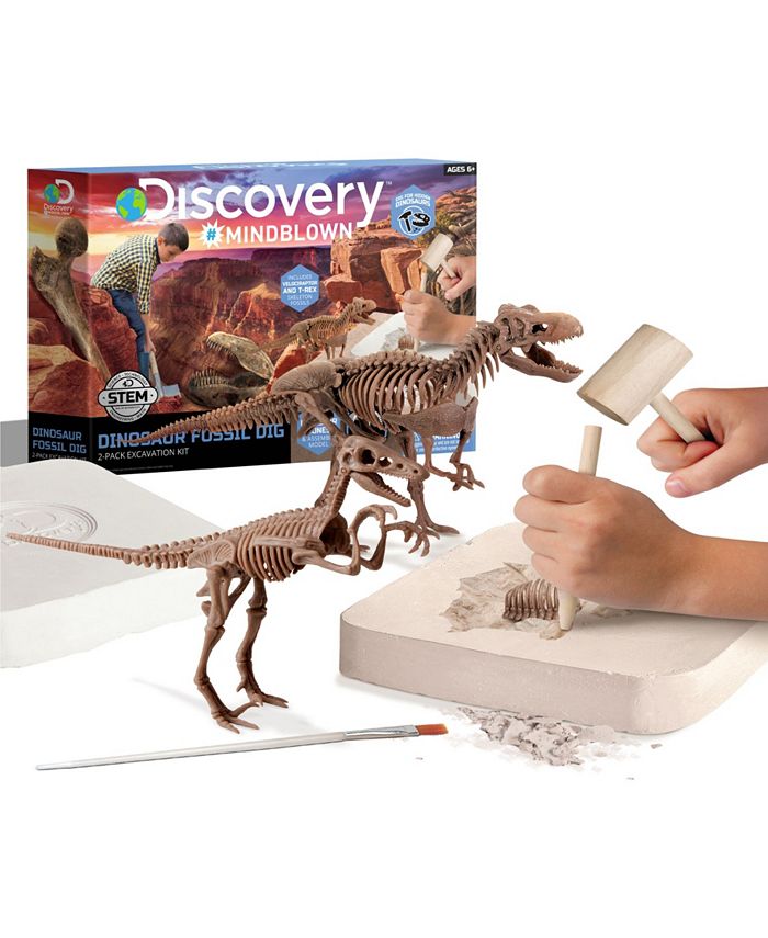 Fossilworks Fossil Molding Kit, Fossils & Dinosaurs: Educational  Innovations, Inc.