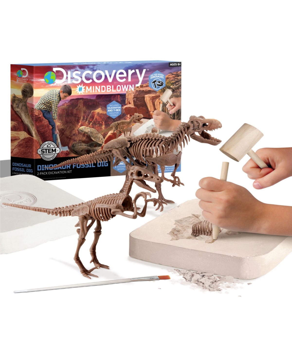 Discovery Mindblown Kids'  Toy Dinosaur Excavation Kit Skeleton 3d Puzzle In Whitetanbrown