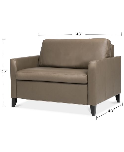 Furniture Priley 48 Leather Twin Sleeper Sofa Reviews