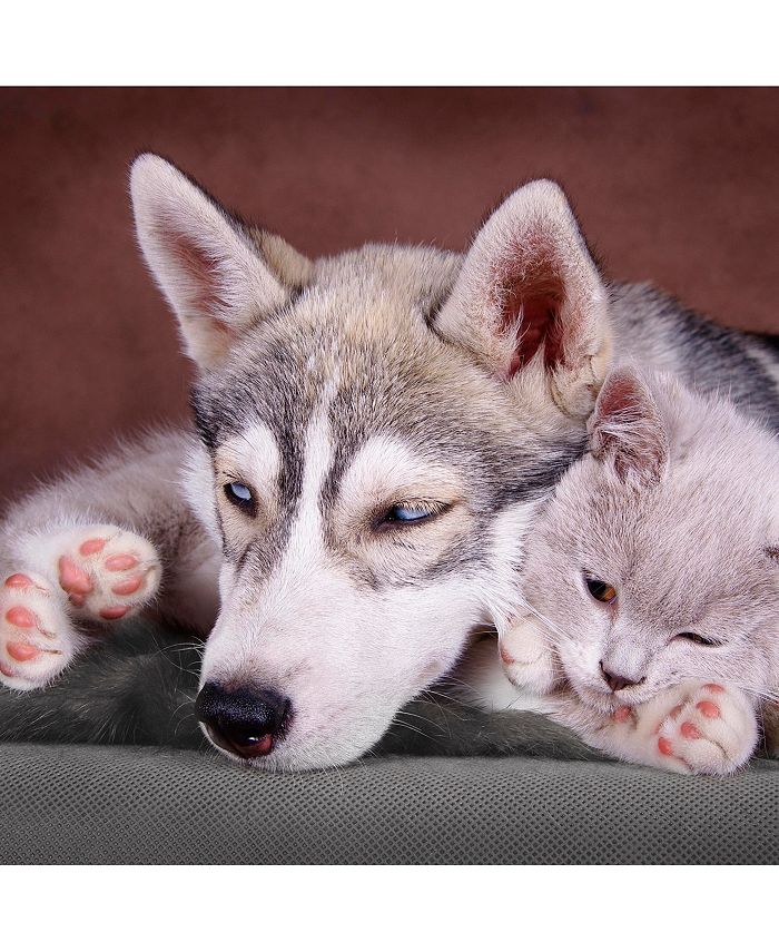 PetMaker Self Warming Pet Crate Pad Macy's