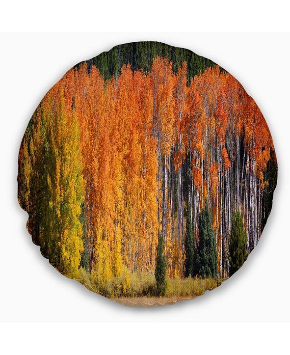 Design Art Designart Fall Trees Panorama Landscape Printed ...