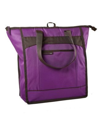 rachael ray insulated bag