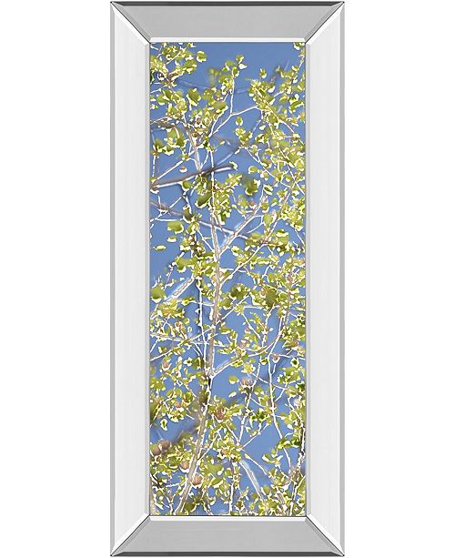 Classy Art Spring Poplars I By Sharon Chandler Mirror Framed Print
