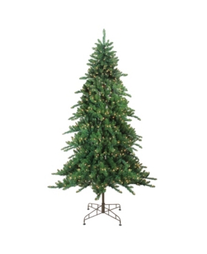 Northlight 75' Pre-Lit Eden Spruce Artificial Christmas Tree - Clear Lights