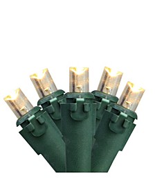 Set of 100 Warm White LED Wide Angle Christmas Lights - Green Wire