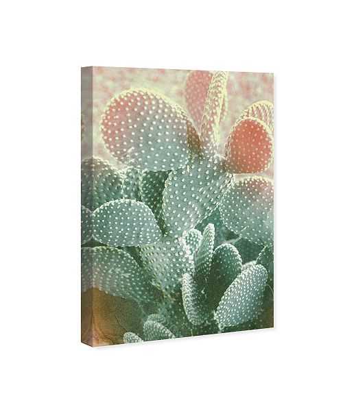 Oliver Gal Blushing Cactus Canvas Art Collection Reviews All