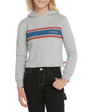 Dickies Big Girls Cropped Fleece Hoodie with Tri Color Icon Logo