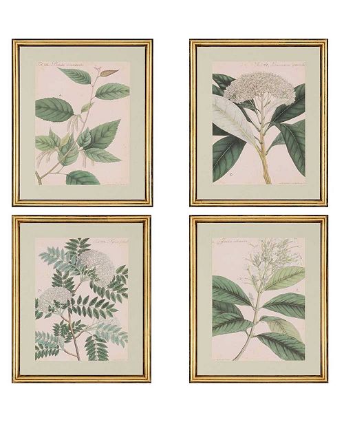 Paragon Botanicals Framed Wall Art Set of 4, 22" x 18 ...