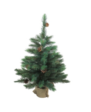 Northlight 3' Royal Oregon Pine Artificial Christmas Tree In Burlap Base In Green