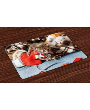 Ambesonne Cats Place Mats Set of 4