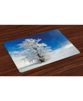 Ambesonne Winter Place Mats, Set of 4
