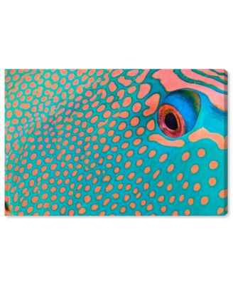 Bicolor Parrot Fish II by David Fleetham Canvas Art, 15" x 10"