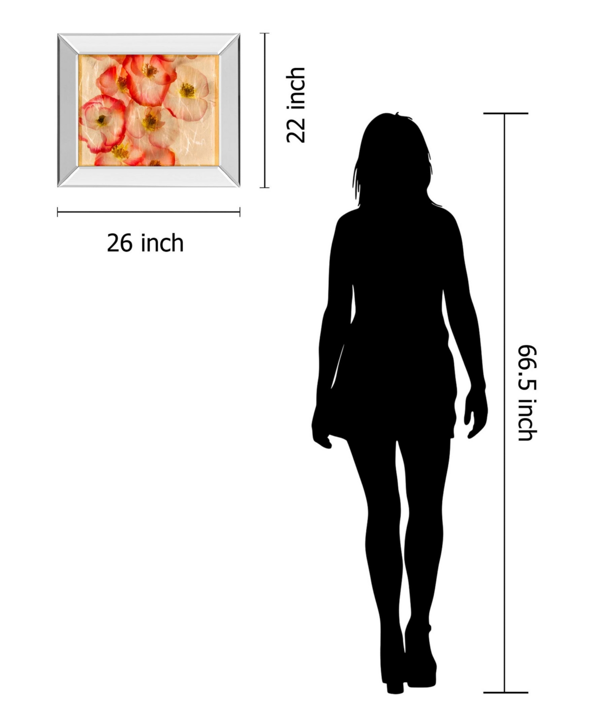 Classy Art Papaver Dreams Iii by Harold Davis Mirror Framed Print Wall Art,