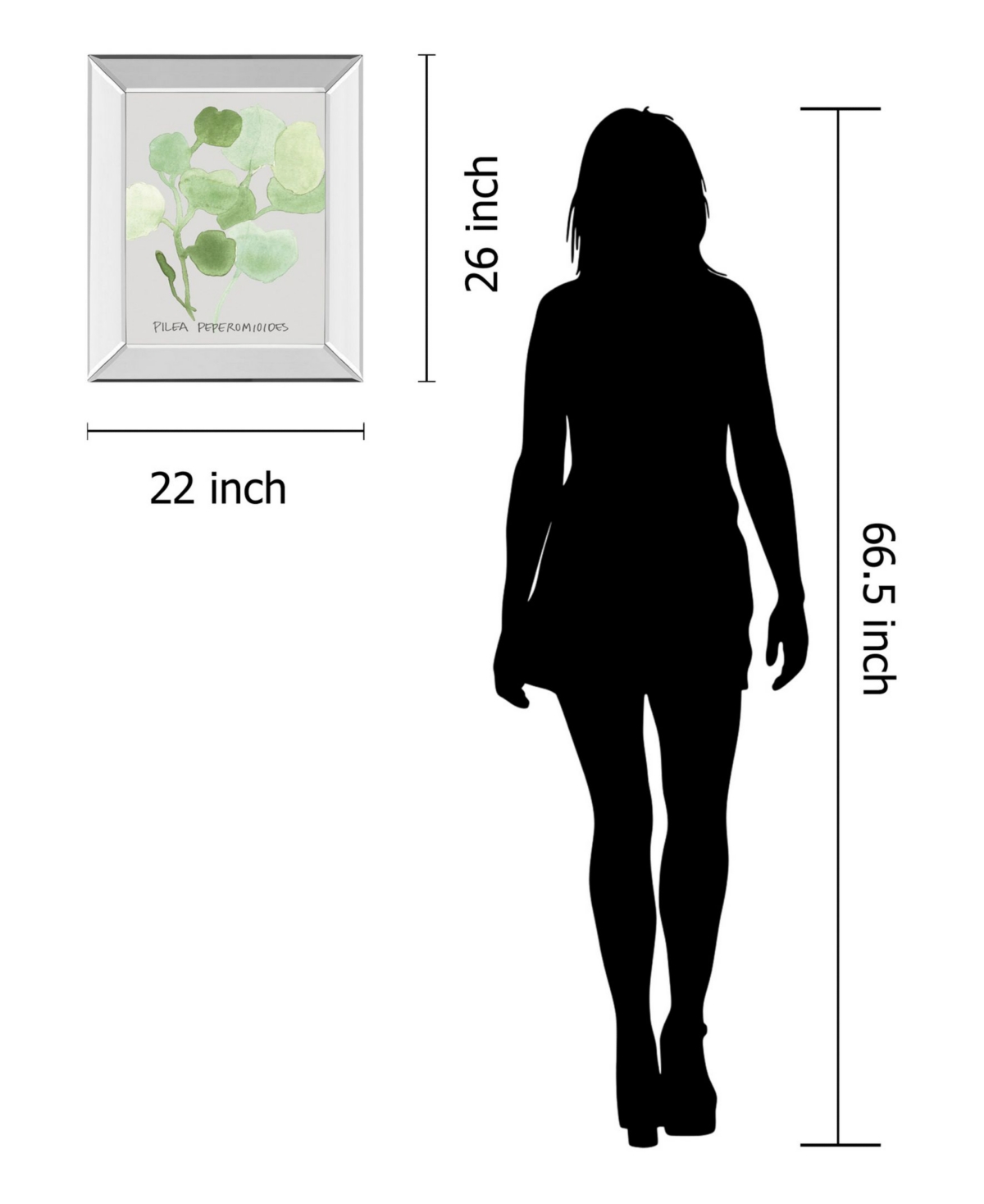 Classy Art Pilea Peperomioides by Katrien Soeffers Mirror Framed Print Wall Art,