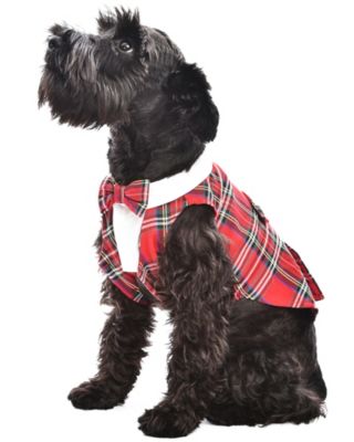 Tartan Tuxedo