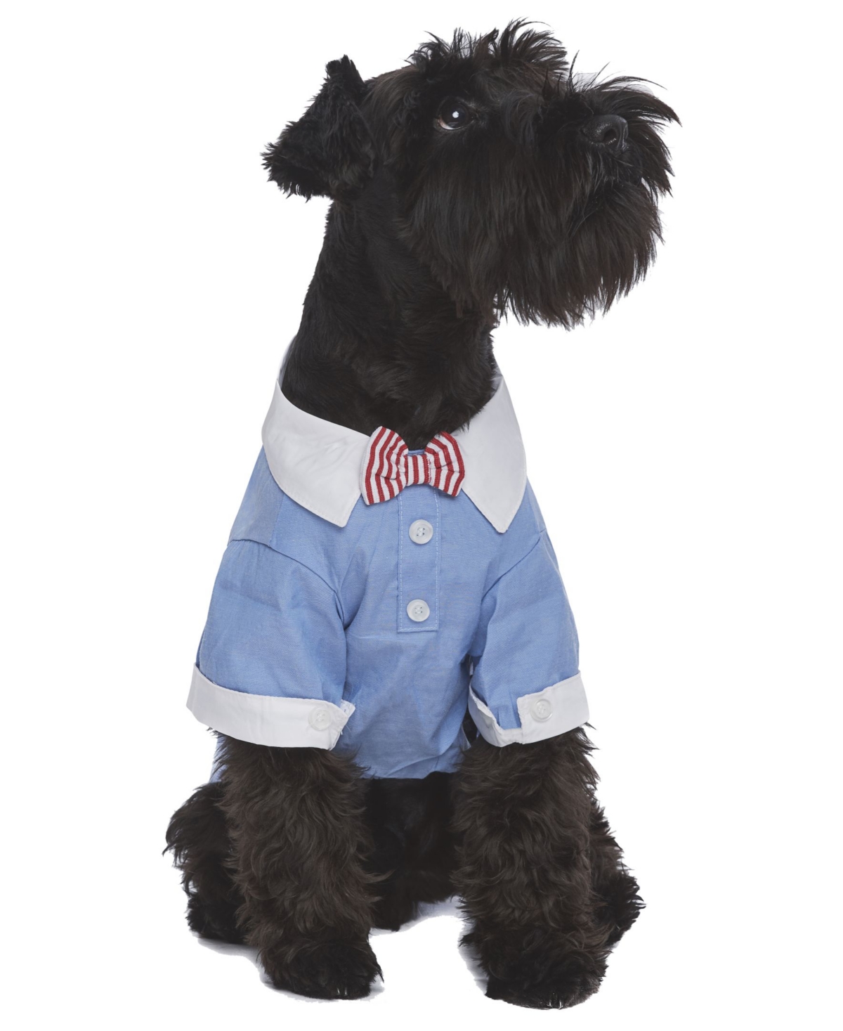 Square Cuff Dog Shirt With Bow Tie - Blue