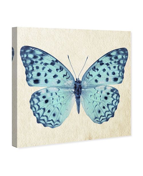 Oliver Gal Blue Butterfly Canvas Art 43 X 43 Reviews All