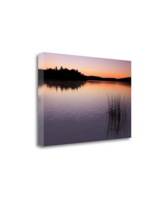 Tangletown Fine Art