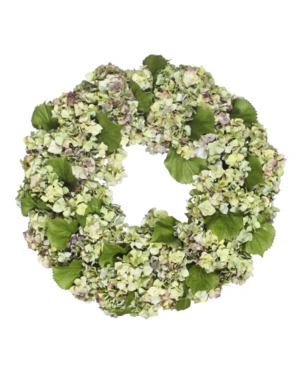 Winward Silks Permanent Botanicals Hydrangea Wreath In Green