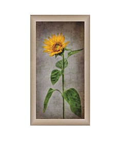 Trendy Decor 4u Sunflower I By Lori Deiter Printed Wall Art Ready To Hang Beige Frame 12 X 21 Reviews All Wall Decor Home Decor Macy S