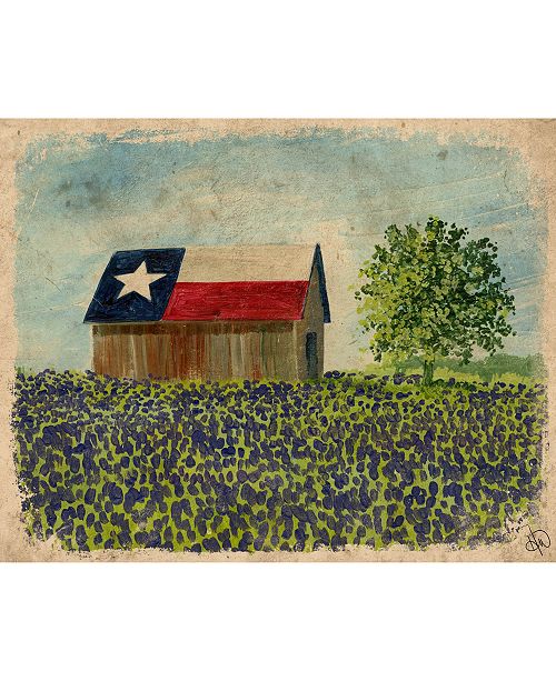 Creative Gallery Texas Barn With Bluebonnets 24 X 20 Canvas Wall