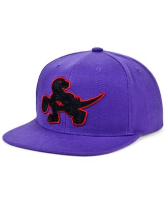 lids raptors cap