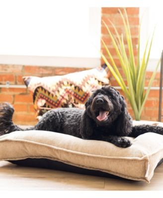 macys dog bed