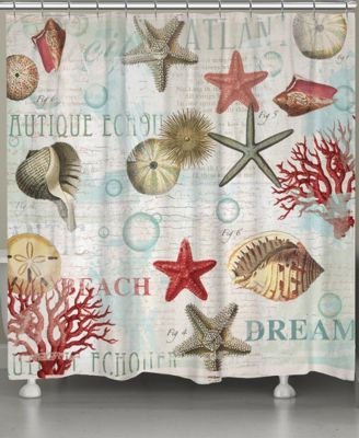 Laural Home - Dream Beach Shells Shower Curtain