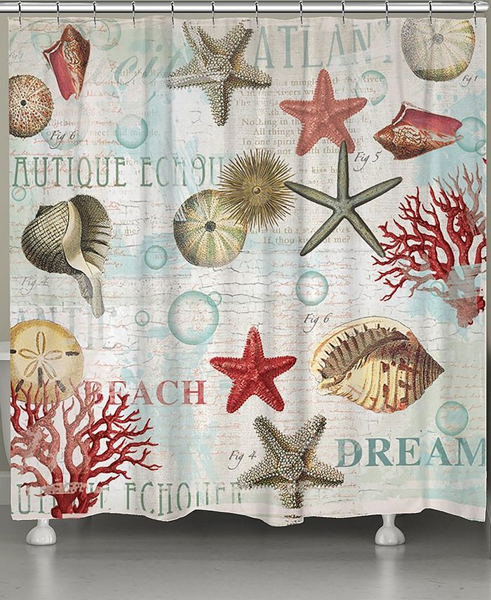 Laural Home Dream Beach Shells Shower Curtain Macy's