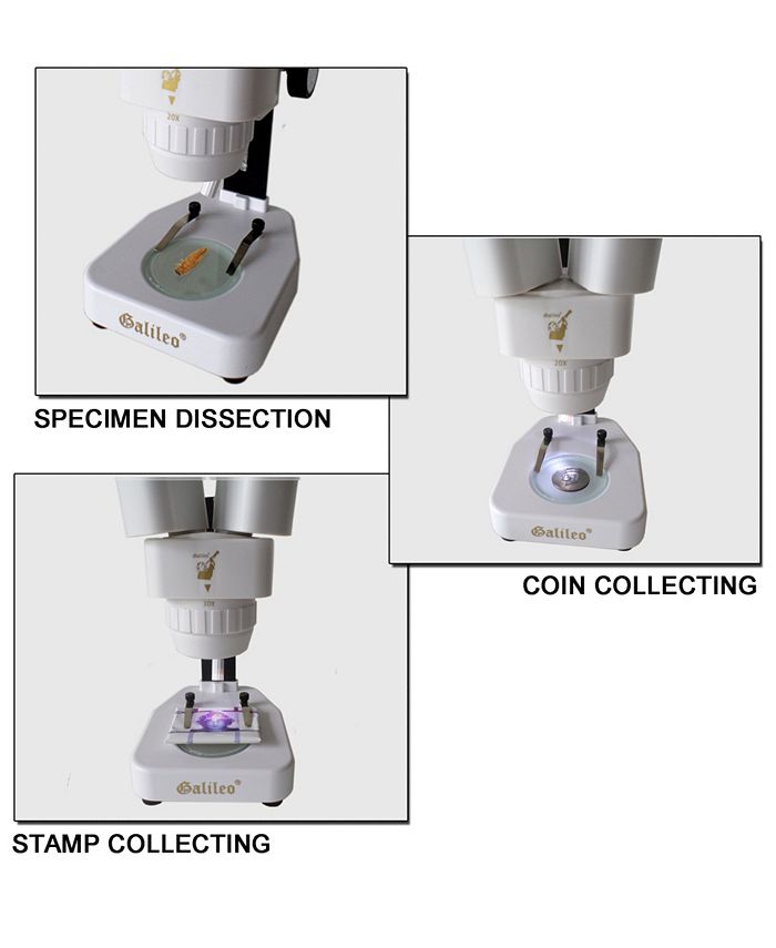Galileo 20x and 30x Stereo Gem Microscope with Flexible Led Light Macy's