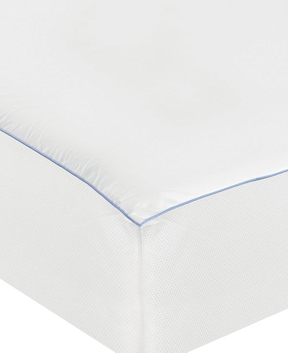Sealy Cool Comfort Fitted Mattress Protector, Twin & Reviews Mattress