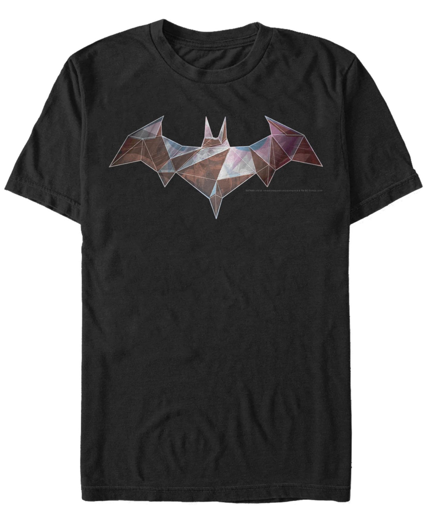 Мужская футболка Fifth Sun DC Batman Geometric Bat Logo Short Sleeve — фото 1