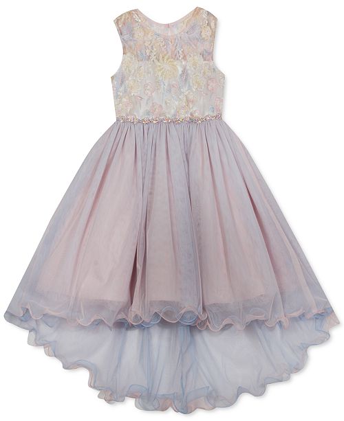 Rare Editions Toddler Girls Embroidered Illusion Mesh Dress