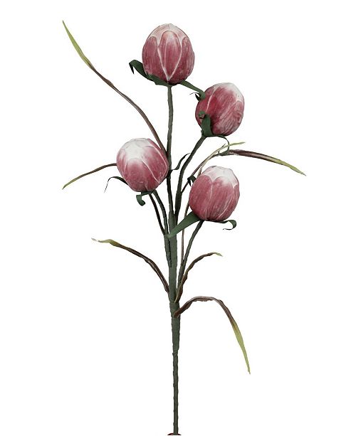 Marshall Home Gardens Marshall Home Garden Stem With Four