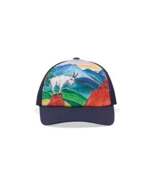 Sunday Afternoons Medium/Large Boys Artist Series Trucker Cap
