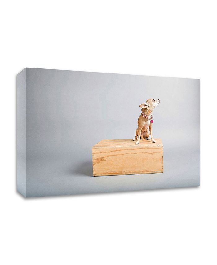 Tangletown Fine Art - 