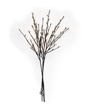 The Light Garden Illuminated Willow Branches