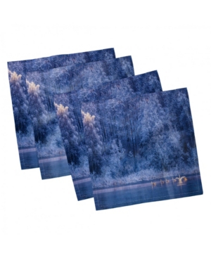 Ambesonne Winter Set of 4 Napkins 18