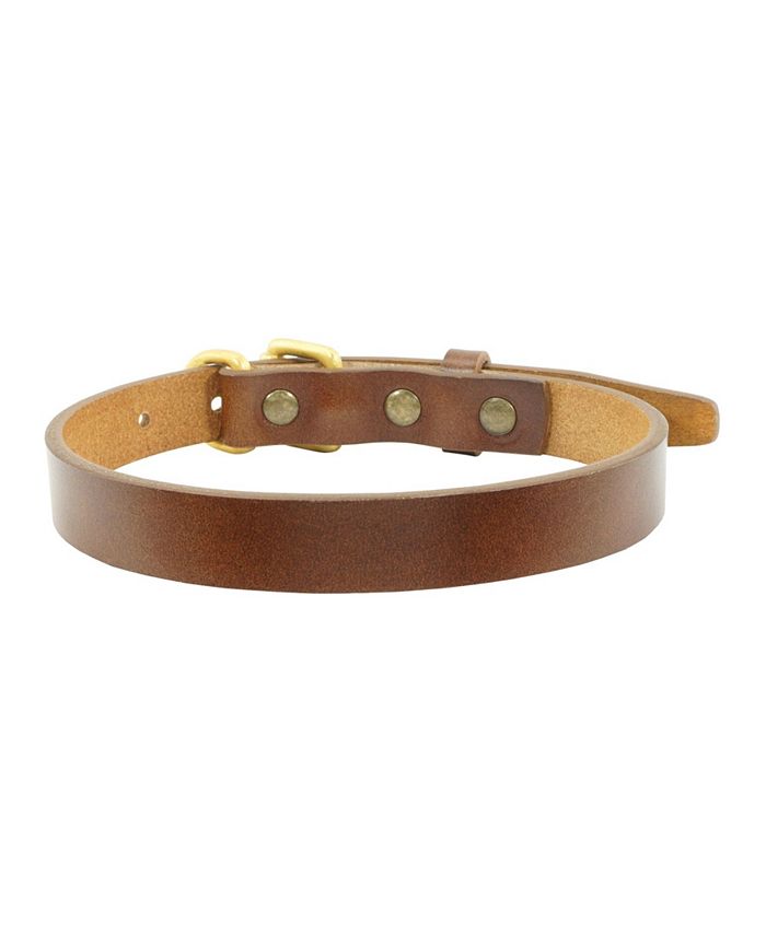 Xolo Pattinson Leather Dog Collar, Large Macy's