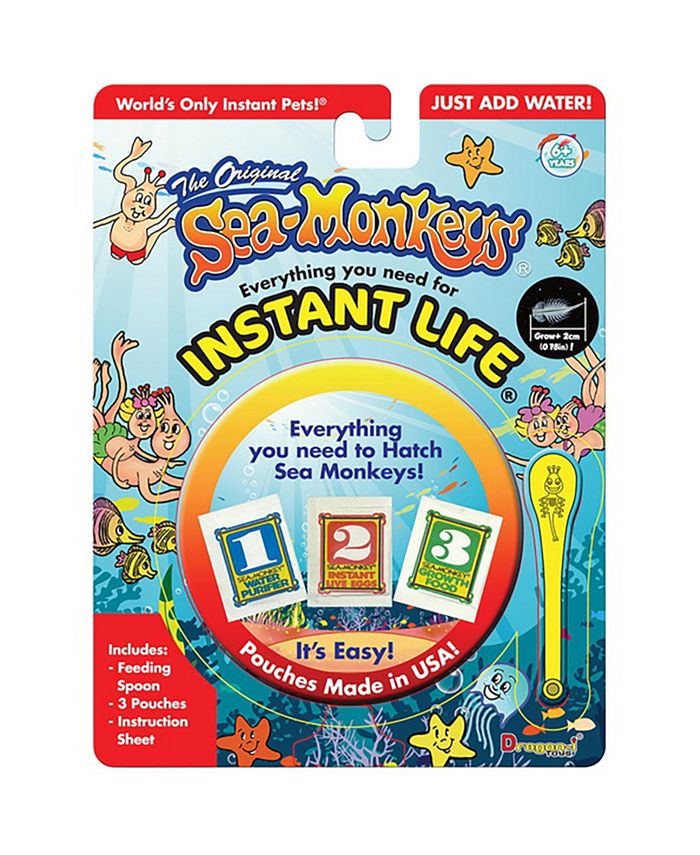 Symptomer reservation Diskriminering af køn Sea Monkey's The Original Sea-Monkeys Instant Life Kit - Everything you  Need to Hatch Sea Monkeys & Reviews - All Toys - Home - Macy's