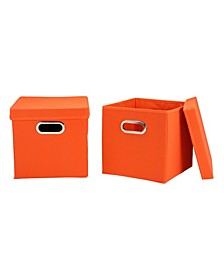 Household Essential Storage Bins with Lids, Set of 2