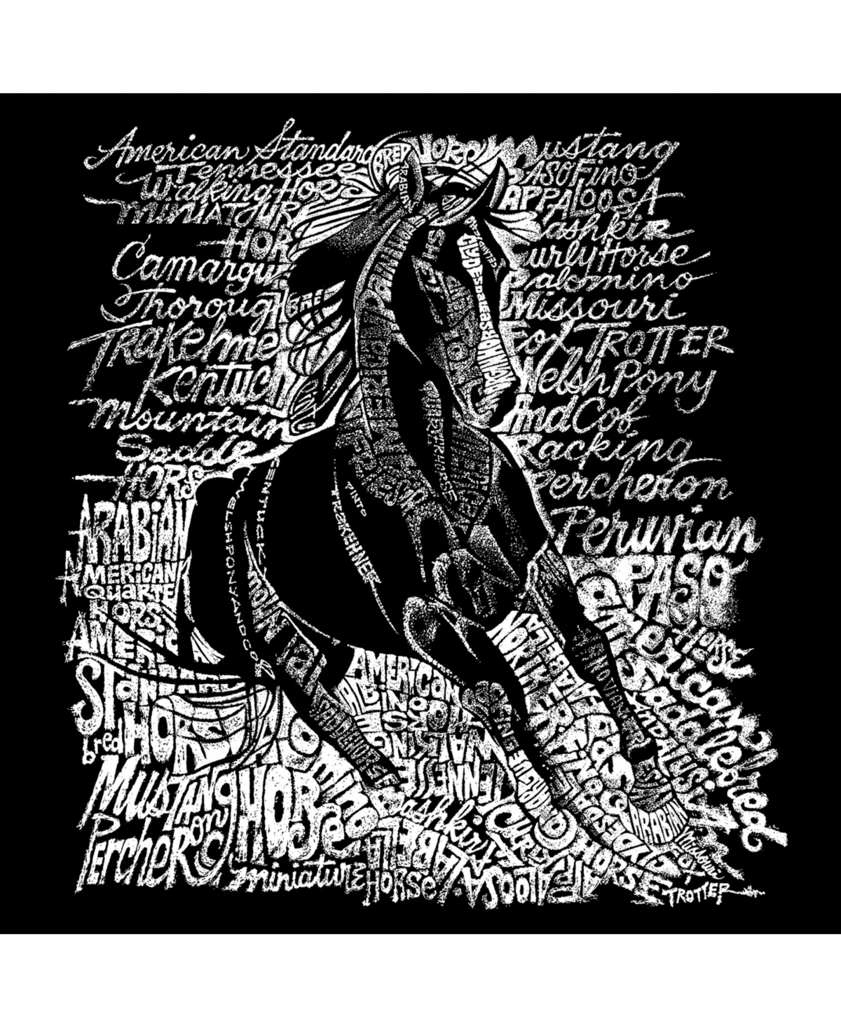 La Pop Art Popular Horse Breeds Men's Raglan Word Art T-shirt