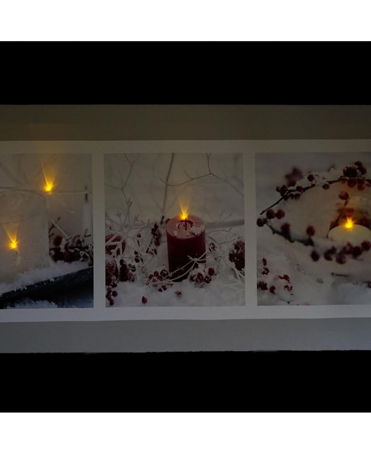 Northlight Led Winter Frost and Berry Burst Christmas Canvas Wall Art